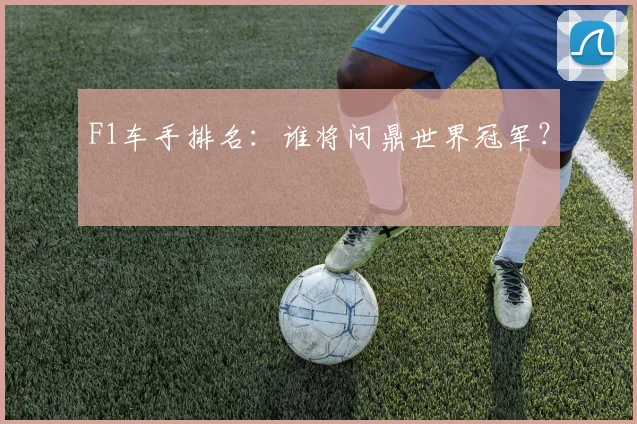 F1车手排名：谁将问鼎世界冠军？